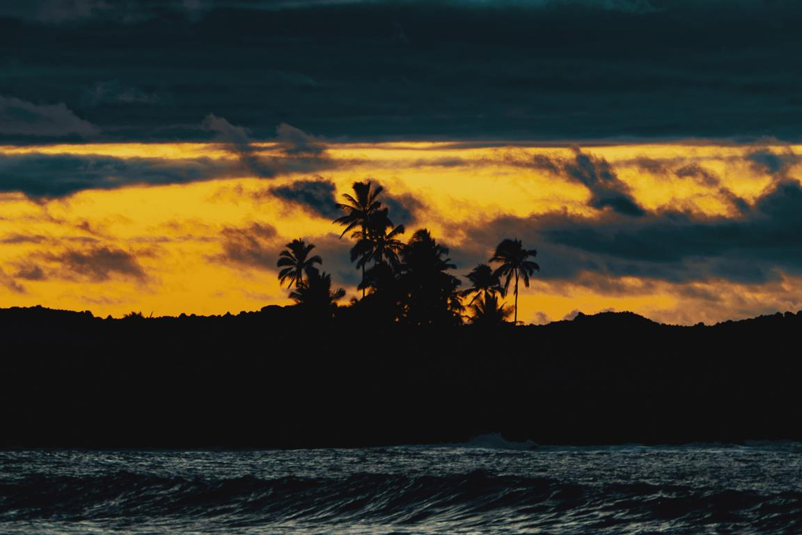 Palmen im Sonnenuntergang am Strand auf Hawaii